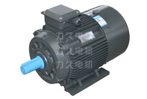 YP2寬頻三相異步電動(dòng)機(jī) YP2寬頻三相異步電動(dòng)機(jī)