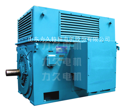 高壓電機 高壓電機