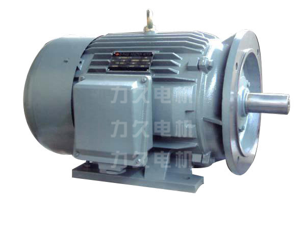 注塑機(jī)專(zhuān)用電機(jī) 注塑機(jī)專(zhuān)用電機(jī)