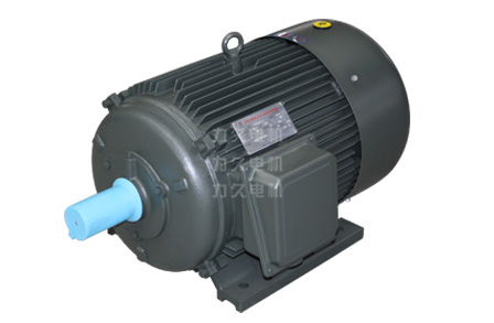 TYG系列高起動轉矩高效永磁同步電機 TYG系列高起動轉矩高效永磁同步電機