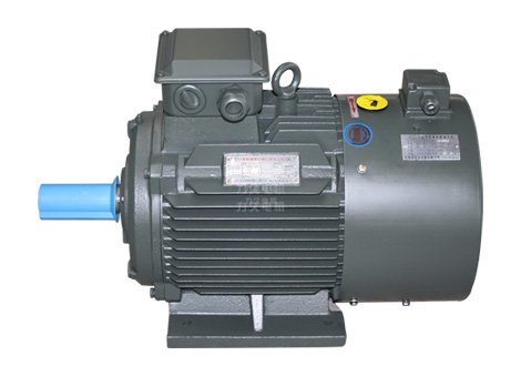 YVP變頻調(diào)速電機(jī) YVP變頻調(diào)速電機(jī)