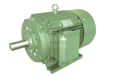 TYG系列高啟動(dòng)轉(zhuǎn)矩高效永磁同步電動(dòng)機(jī) TYG系列高啟動(dòng)轉(zhuǎn)矩高效永磁同步電動(dòng)機(jī)