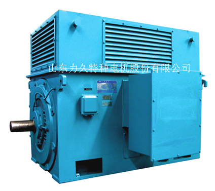 高壓電機 高壓電機