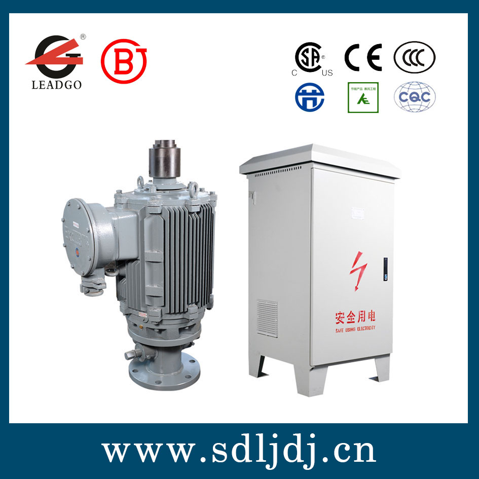 TYPL隔爆型永磁變頻電機直驅(qū)螺桿泵系統(tǒng) TYPL隔爆型永磁變頻電機直驅(qū)螺桿泵系統(tǒng)