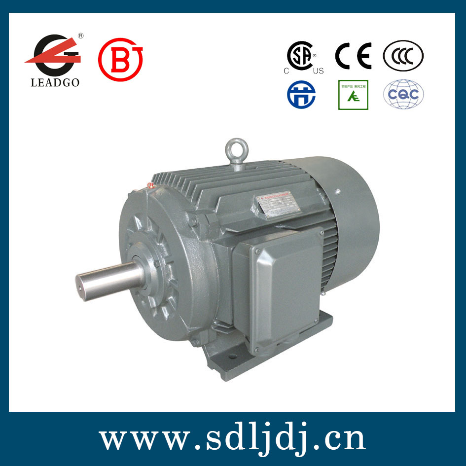 TYJX高效永磁電機 TYJX高效永磁電機