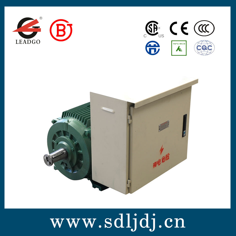 DYG高啟動(dòng)轉(zhuǎn)矩多速油田電機(jī) DYG高啟動(dòng)轉(zhuǎn)矩多速油田電機(jī)