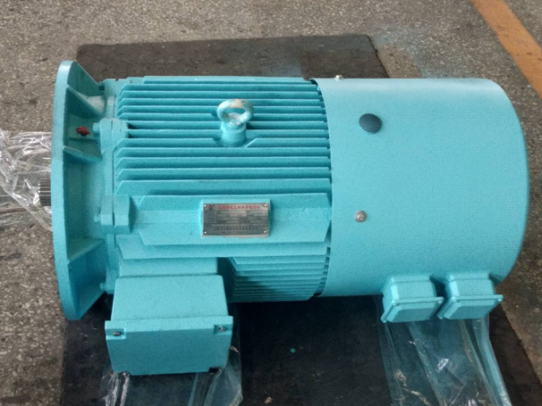 帶制動器和旋變變壓器的高效變頻電機 帶制動器和旋變變壓器的高效變頻電機