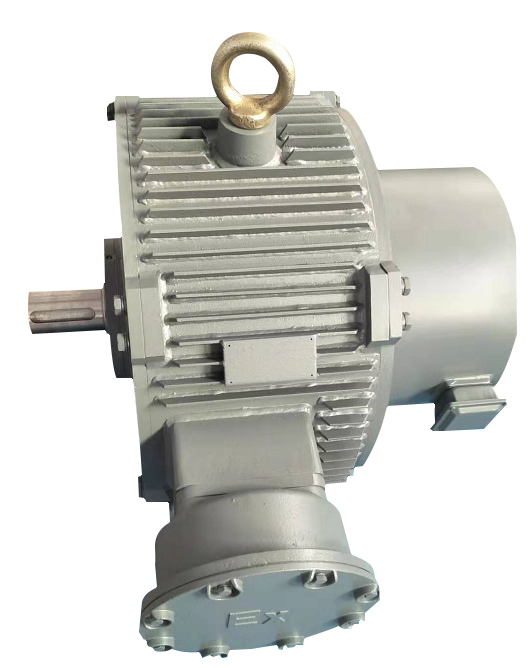 永磁同步電機(特殊定制) 永磁同步電機(特殊定制)