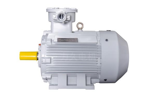 YBX3系列高效率隔爆型三相異步電動機 YBX3系列高效率隔爆型三相異步電動機