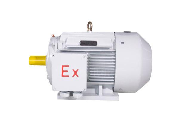 YFBX4系列高效率粉塵防爆型三相異步電動機 YFBX4系列高效率粉塵防爆型三相異步電動機