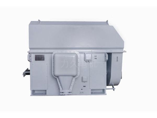 YKK、YXKK系列高壓三相異步電動機 YKK、YXKK系列高壓三相異步電動機