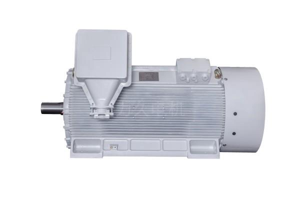 YE3系列緊湊型高壓三相異步電動機 YE3系列緊湊型高壓三相異步電動機