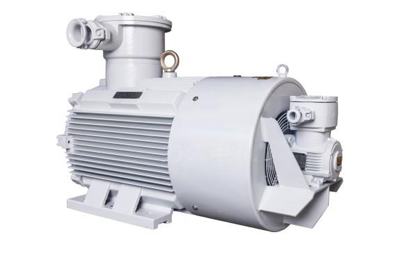 YBBP系列隔爆型變頻調(diào)速三相異步電動機(jī) YBBP系列隔爆型變頻調(diào)速三相異步電動機(jī)