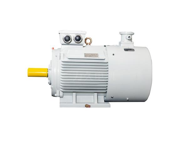 YFBBPX3系列高效率粉塵防爆型變頻調速三相異步電動機 YFBBPX3系列高效率粉塵防爆型變頻調速三相異步電動機